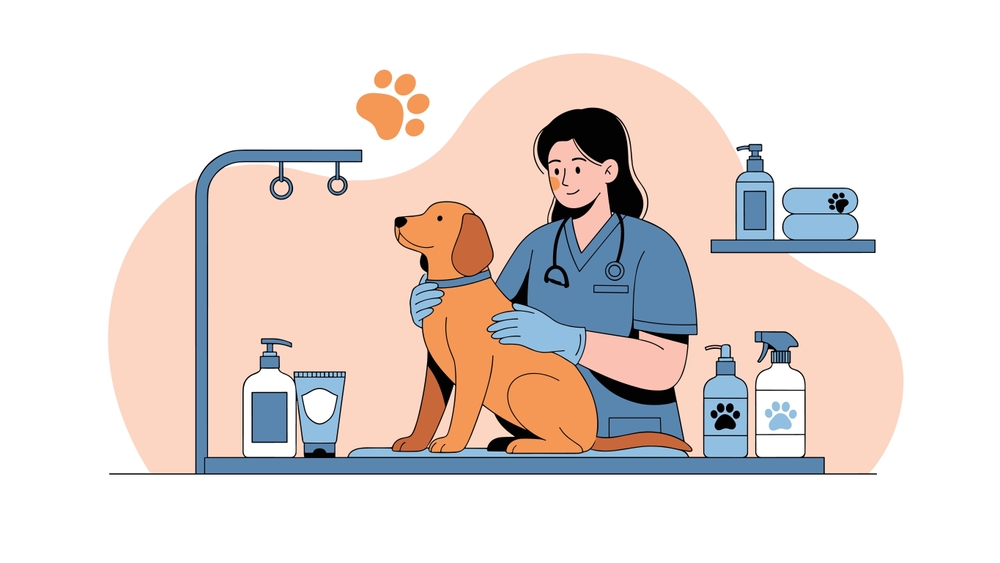 Veterinarian examining a dog at Renee Vet