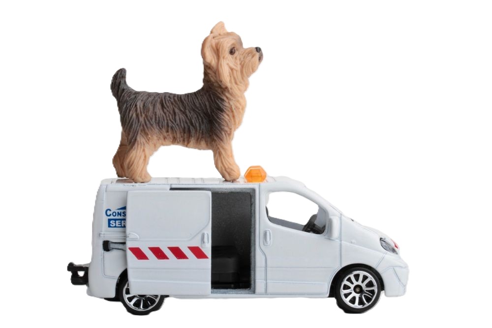 24/7 Emergency Veterinary Care